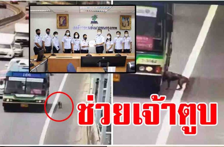 ขสมก. มอบประกาศเกียรติคุณ สองพนักงาน ช่วยเจ้าตูบกลางทางด่วน