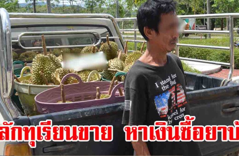 รวบพ่อชวนลูกเสพยา พบลักตัดทุเรียน 1 ตัน ไปขาย ร่ำไห้ขอโทษ ต้องการเงินซื้อยาบ้า