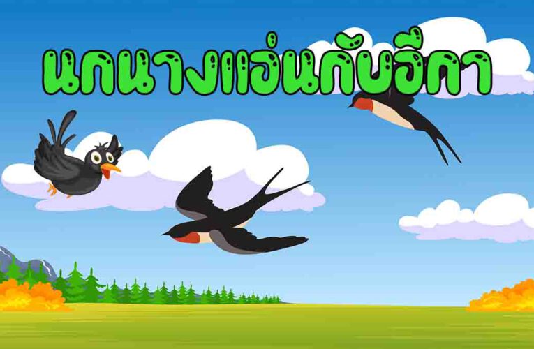 นิทานอีสป เรื่อง นกนางแอ่นกับอีกา นิทานอีสปสั้นๆ และนิทานอีสปก่อนนอน